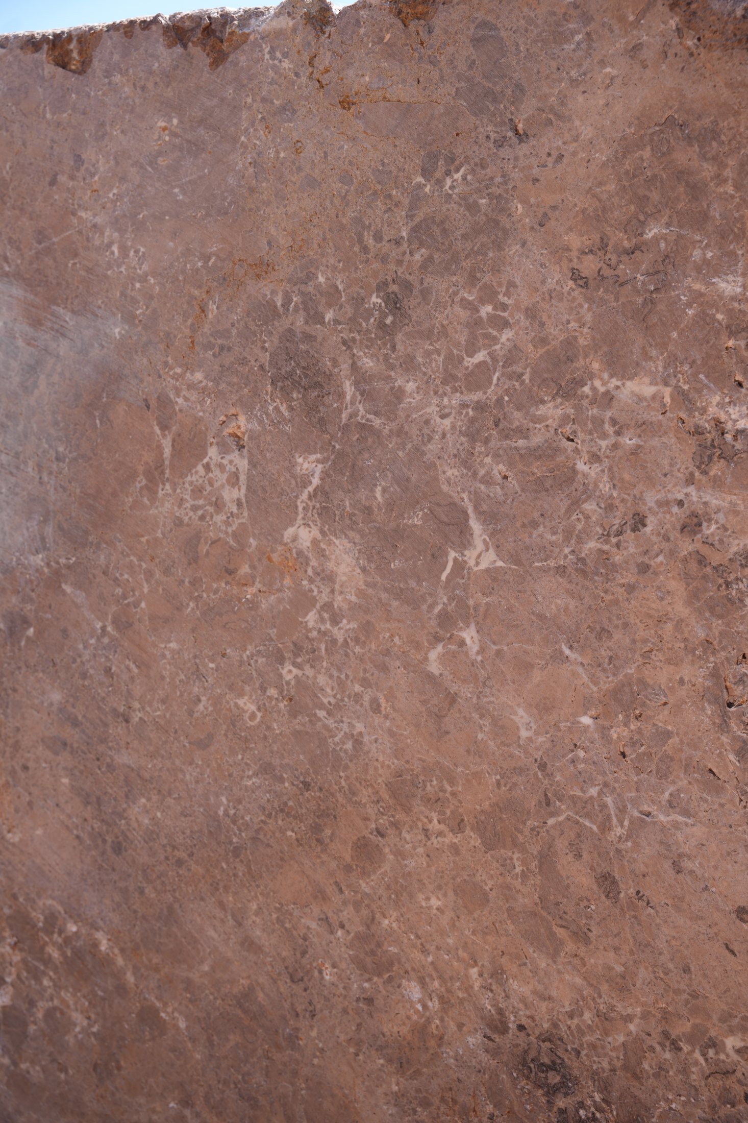 Luxury Royal Castana Brown